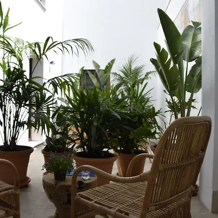 Chacon & Εστεπόνα