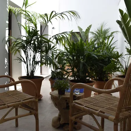 Διαμέρισμα Chacon & *