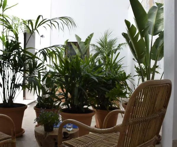 Chacón Apartments&suites Estepona